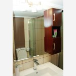 έπιπλο κόντρα πλακέ μηλιά