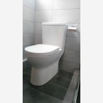 Λεκάνη οβάλ